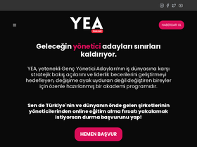 'youngexecutiveacademy.com' screenshot