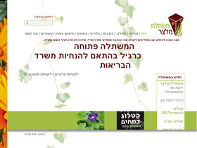 meltser.co.il