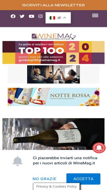 winemag.it