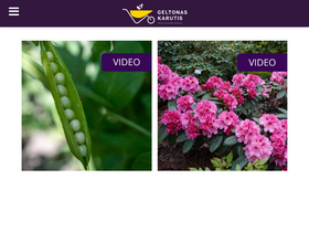 'geltonaskarutis.lt' screenshot