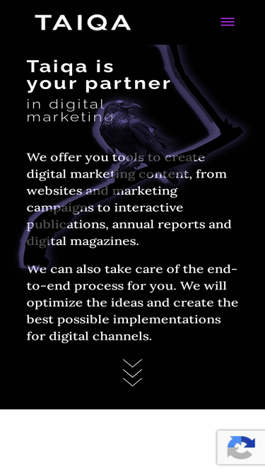 taiqa.com