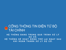 'bctcnn.vst.mof.gov.vn' screenshot