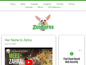 'zooborns.com' screenshot
