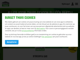 'budgetthuis.nl' screenshot