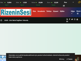 'rizeninsesi.net' screenshot