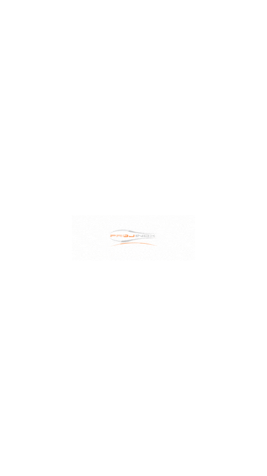projinox.com.br