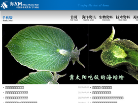 'cmfish.com' screenshot