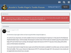 'turtleforum.com' screenshot
