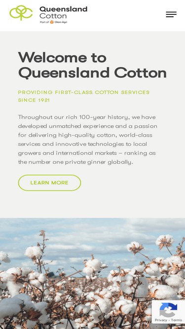 qcotton.com.au