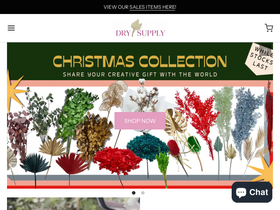 DrySupply website screenshot