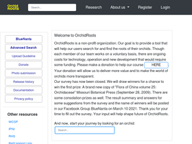 'orchidroots.com' screenshot