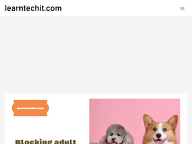 'learntechit.com' screenshot