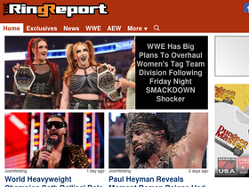 'theringreport.com' screenshot