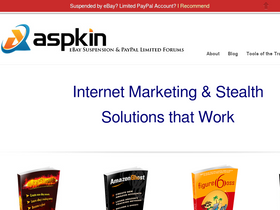 'aspkin.com' screenshot