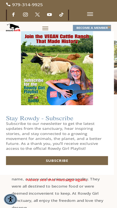 rowdygirlsanctuary.org