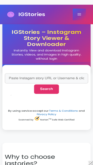 igstories.website