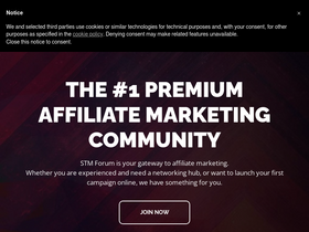 'stmforum.com' screenshot