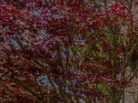 'soumissionscourtiers.ca' screenshot