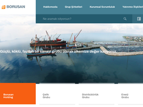 'borusan.com' screenshot