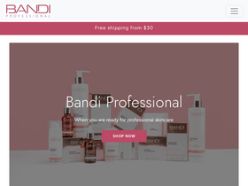 bandi-usa.com homepage screenshot