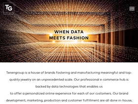 'tenengroup.com' screenshot