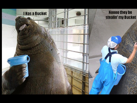 'ihasabucket.com' screenshot