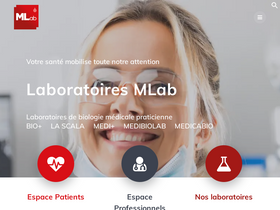 'mlab-groupe.fr' screenshot
