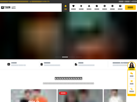tshe.com