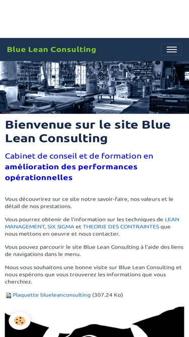 bluelean.fr