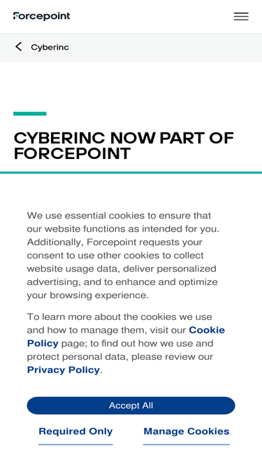 cyberinc.com