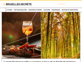 'bruxellessecrete.com' screenshot
