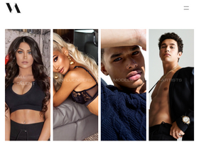 'vergeagency.co' screenshot