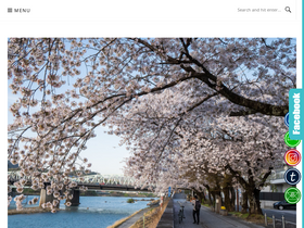 'ireneslife.com' screenshot