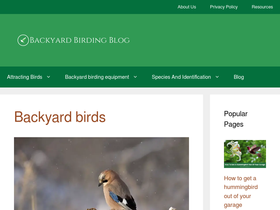 backyardbirdingblog.com