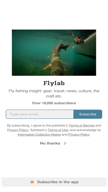 flylab.substack.com