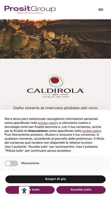 caldirola.it