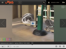 'myvi.tv' screenshot