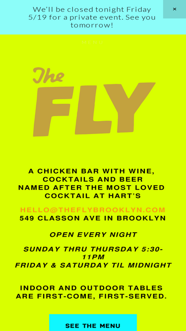 theflybrooklyn.com
