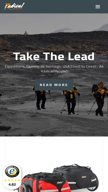 radicaldesign.com