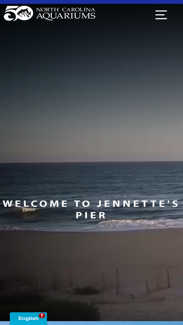 jennettespier.net