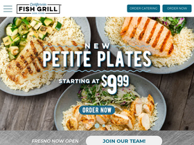 Website Logo