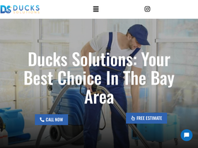 duckssolutions.com