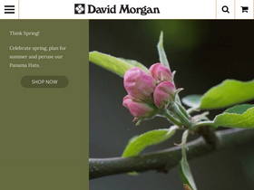 'davidmorgan.com' screenshot