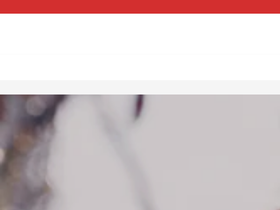 Ash Newyork website screenshot