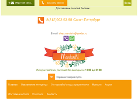 'mandarin-shop.ru' screenshot