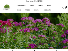 Website Logo