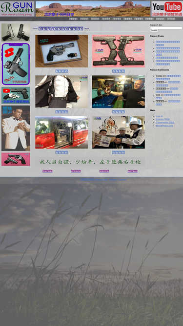 roamgun.com