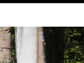 'brigitewear.com' screenshot