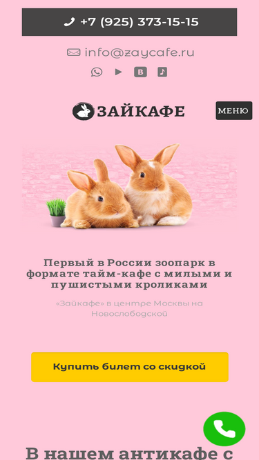 zaycafe.ru