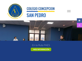 'colegioconcepcionsanpedro.cl' screenshot